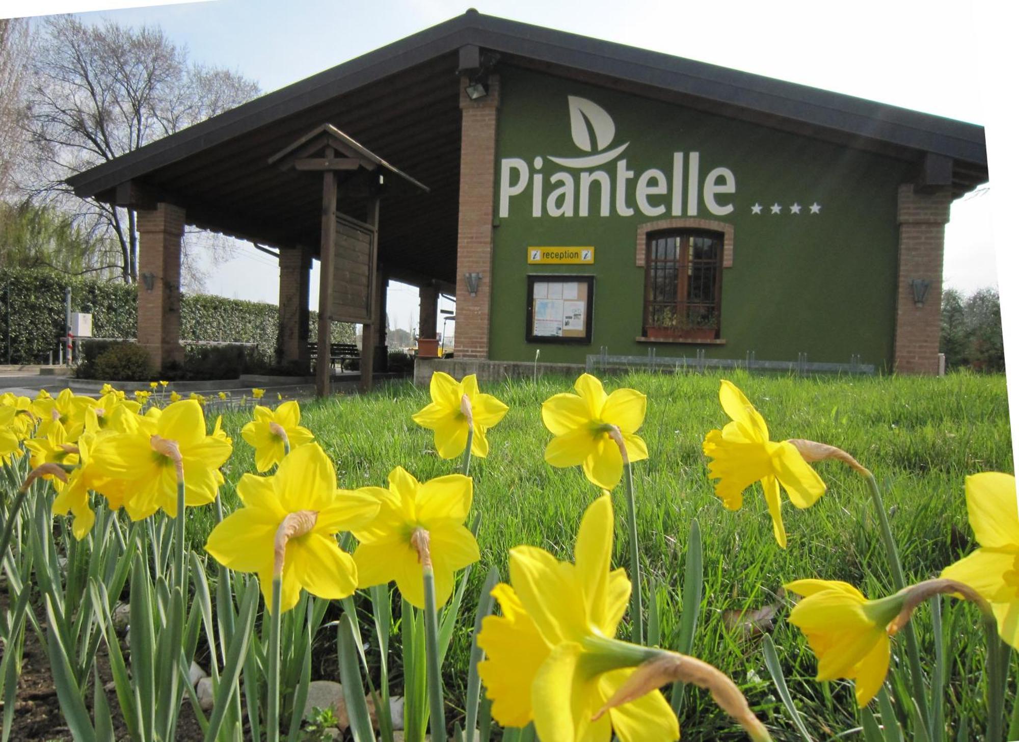 Camping Piantelle Moniga del Garda المظهر الخارجي الصورة